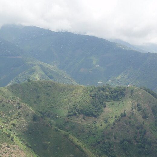 Coffee regions of Colombia, explained in one map