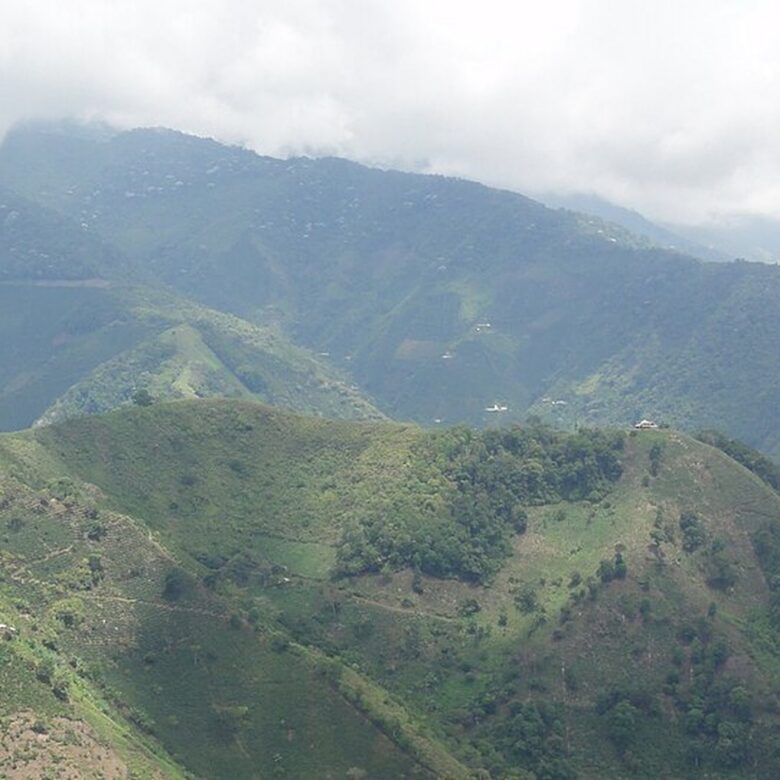Coffee regions of Colombia, explained in one map